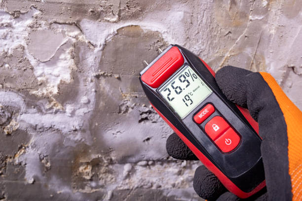 Best Same-Day Mold Removal  in Del Norte, CO