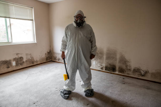 Best Fast Mold Removal  in Del Norte, CO